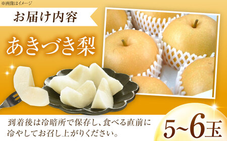 【先行予約】あきづき梨 5-6玉入 BKAD039 梨
