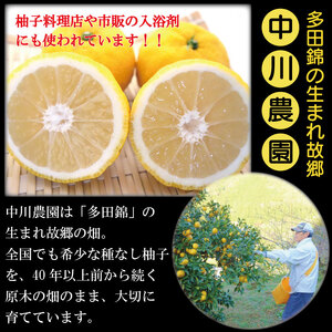 ゆず果汁 500ml × 2本 ゆず 柚子 果汁 100％ 手搾り ゆず ゆず ゆず