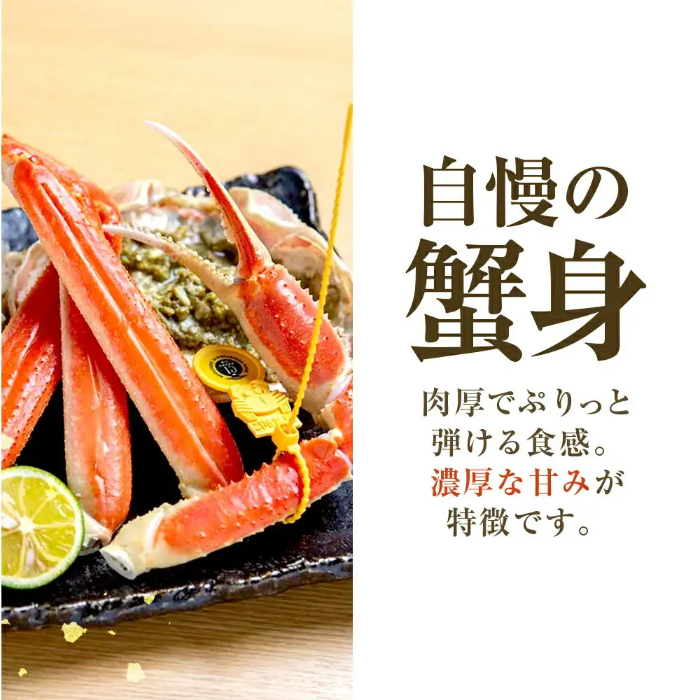 【先行予約/11月7日より順次発送】【希望月指定可】 越前がに 600ｇ×1ハイ  / 蟹 ズワイガニ ずわいがに ボイル 冷蔵 小浜市 / まるほ商店 【配送不可地域：北海道・沖縄・離島】[BFCS018]