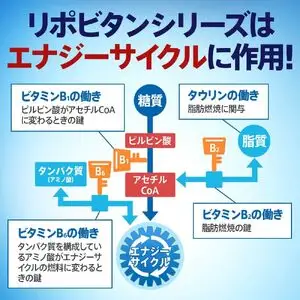 【リポビタンD】 100ml 20本 栄養ドリンク リポビタンD