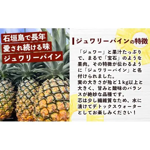 島のおいしいを贅沢に！パイナップル3種とマンゴー2種のよくばり定期便《2027年4月以降発送》