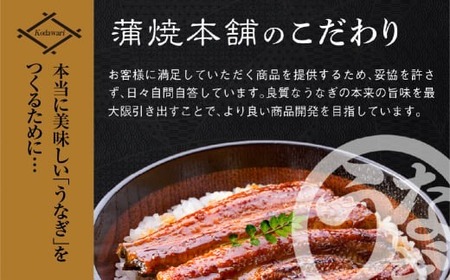 うなぎ蒲焼 大2尾 定期便6回 超絶 うなぎ
