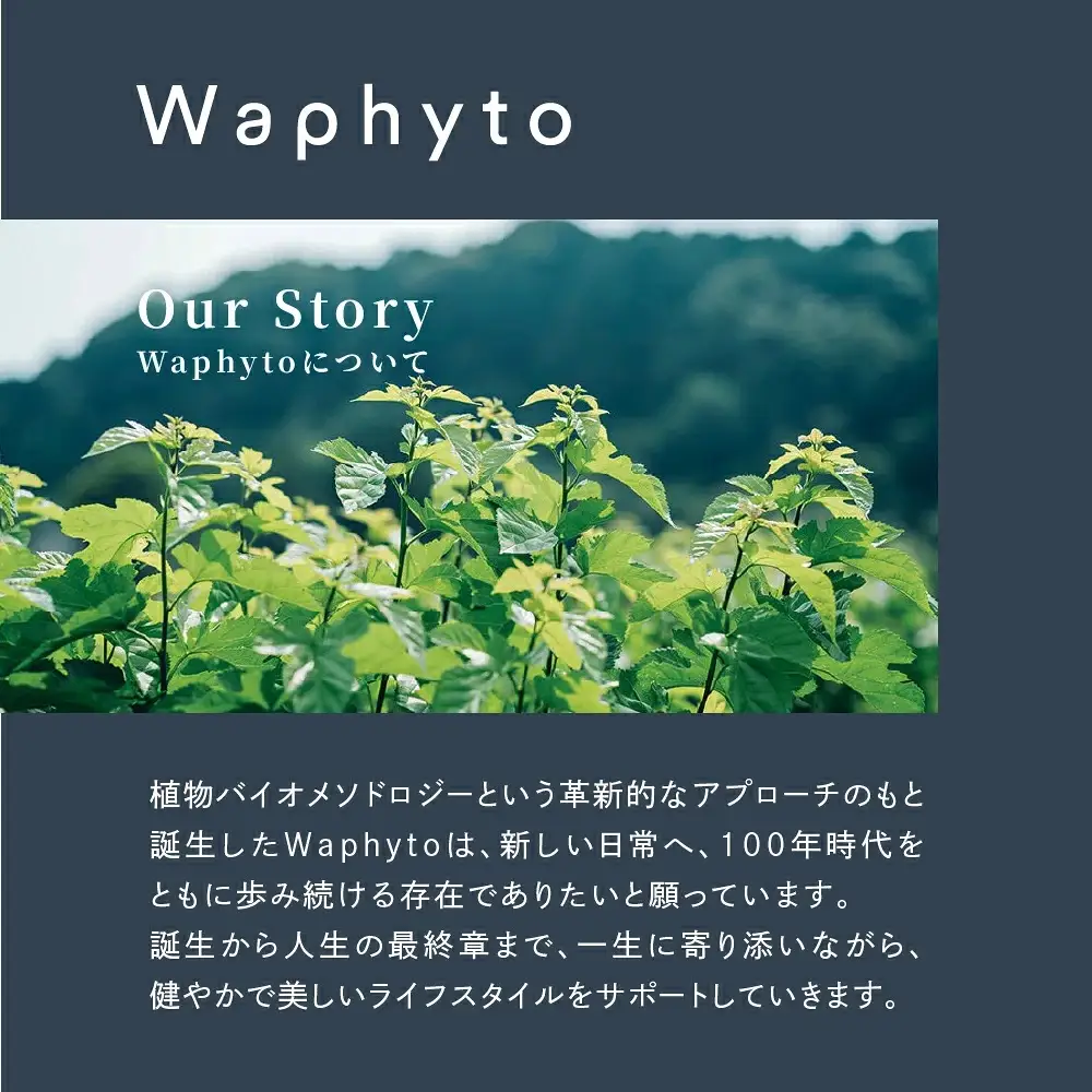 『Waphyto  UVクリーム ピンクグロウ (30g)』