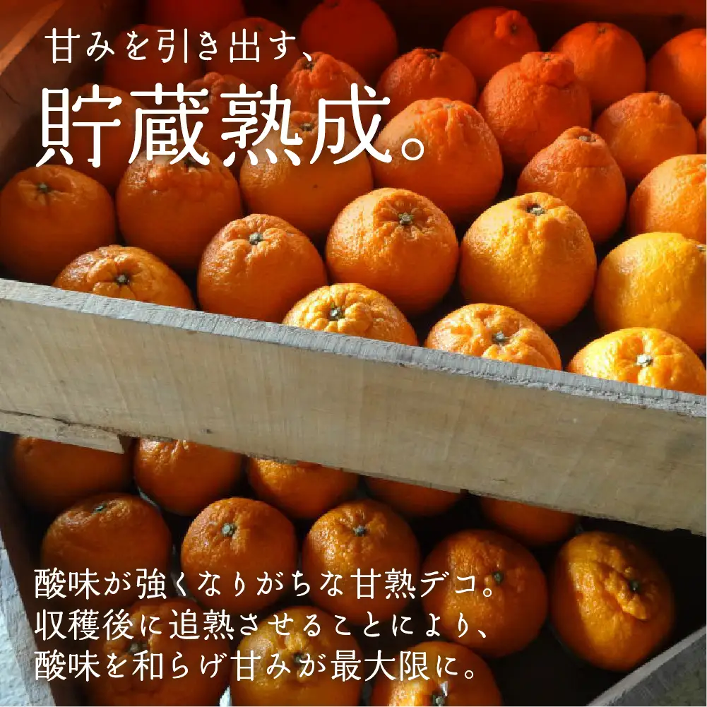 完熟しらぬい 4kg 甘熟デコ  みかん デコポン みかん