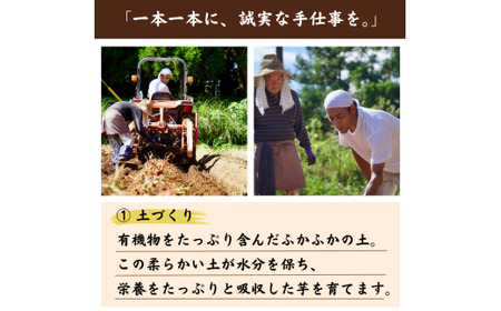  種子島 産 オーガニック (有機) 種子島安納いも (誠農園) ３kg　NFN599 【250pt】