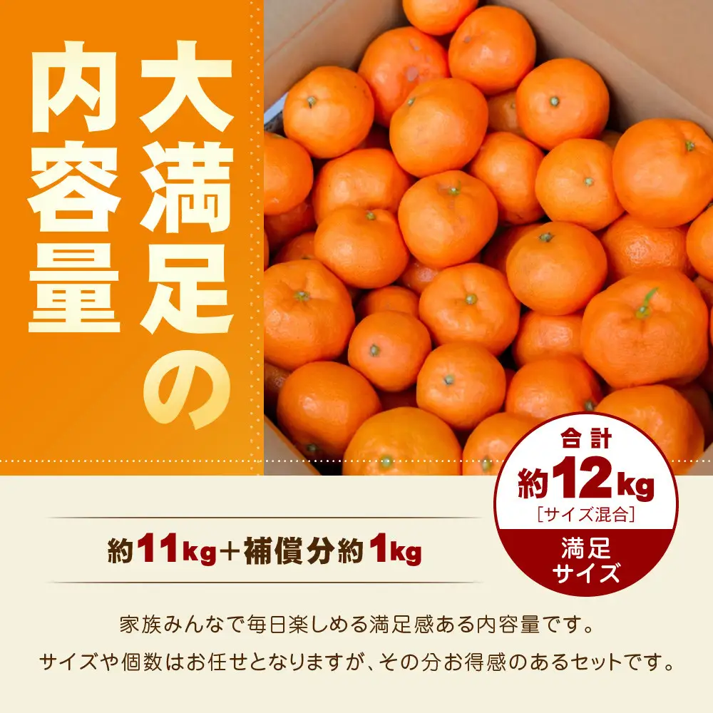 【訳あり】和歌山みかん約11kg+補償分約1kg サイズ混合 11月より順次発送 訳ありみかん 【red2】