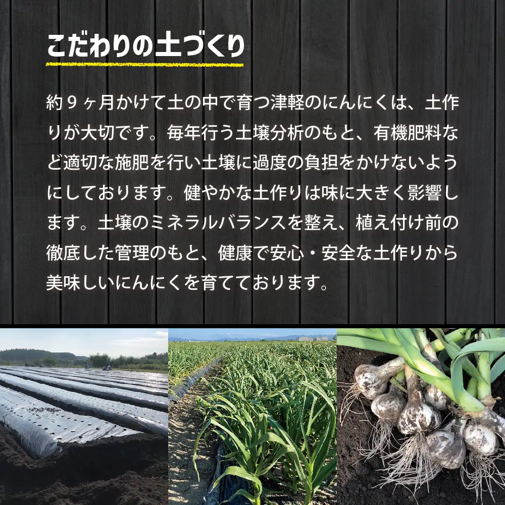 青森県産にんにく 上級品・Lサイズ 400g ホワイト六片 にんにく