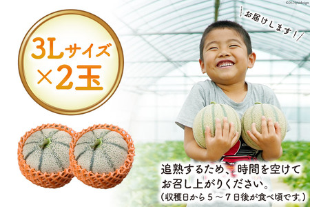 AK129 【令和9年度出荷分】 メロン 赤肉メロン マルセイユ 3L 2玉 ◎