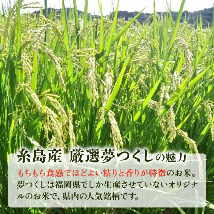 いとし米　厳選夢つくし　2kg(糸島産)糸島市/三島商店 [AIM062]