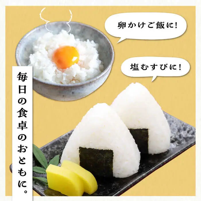 糸島産 夢つくし 20kg 糸島市 / 三島商店 [AIM074]