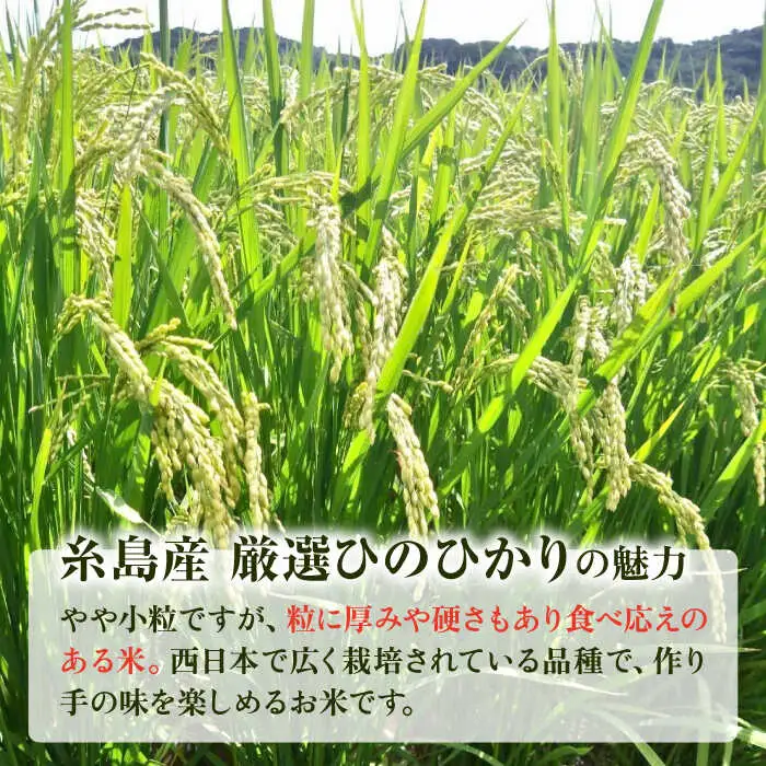 いとし米 厳選ひのひかり20kg (糸島産)　糸島市 / 三島商店 [AIM077]