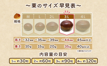 ＜大粒生栗 3Lサイズ（約2kg）＞大玉 甘い 栗 マロン くり 和栗 栗ごはん モンブラン 栗きんとん 栗まんじゅう 甘露煮 スイーツ ケーキ 洋菓子 和菓子 お菓子 秋 味覚 産地直送 城川ファクトリー 愛媛県 西予市【冷蔵】『2026年9月中旬～10月上旬に順次発送予定』SSF0026