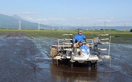 3-L コシヒカリ 白米 会津 5kg 1袋 令和7年産米 藤川農産 ※2025年10月上旬頃より順次発送予定