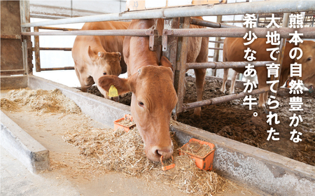 熊本県産　あか牛　ロースステーキ400g（200g×2P）《30日以内に出荷予定（土日祝除く）》			