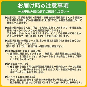 【6回定期便】有機野菜詰め合わせ＆卵 野菜