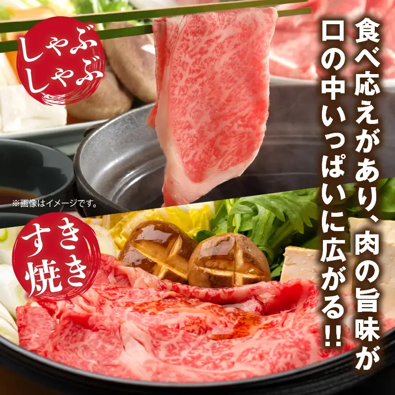 宮崎県産 黒毛和牛 リブロース スライス 計500g 肉 牛肉 ビーフ 国産 薄切り すき焼き すきやき しゃぶしゃぶ 牛丼 肉巻きおにぎり 冷しゃぶ 炒め物 焼肉 おかず 食品 お祝い 記念日 ご褒美 お土産 ギフト 贈り物 贈答 プレゼント 宮崎県 日南市 送料無料_CD54-24