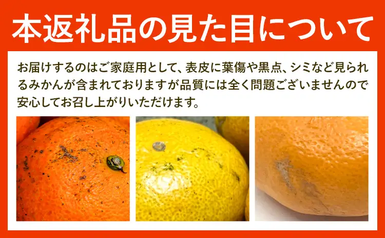 温州みかん ご家庭用 5kg S-Mサイズ GOGO農園