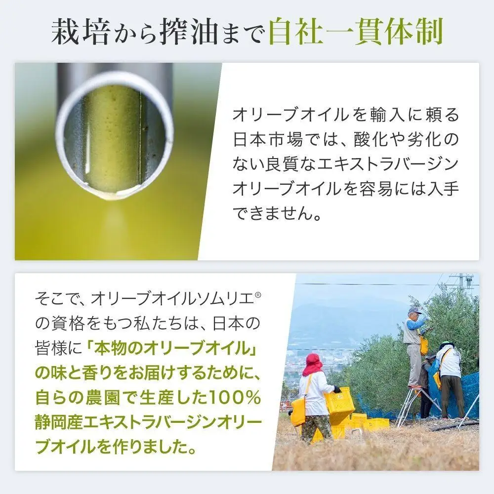  静岡産EXVオリーブオイル 120ml×3本セット 国際コンクール受賞 エキストラバージンオリーブオイル 収穫後24時間以内に搾油 健康志向 地中海食 サラダ パン カルパッチョ パスタ