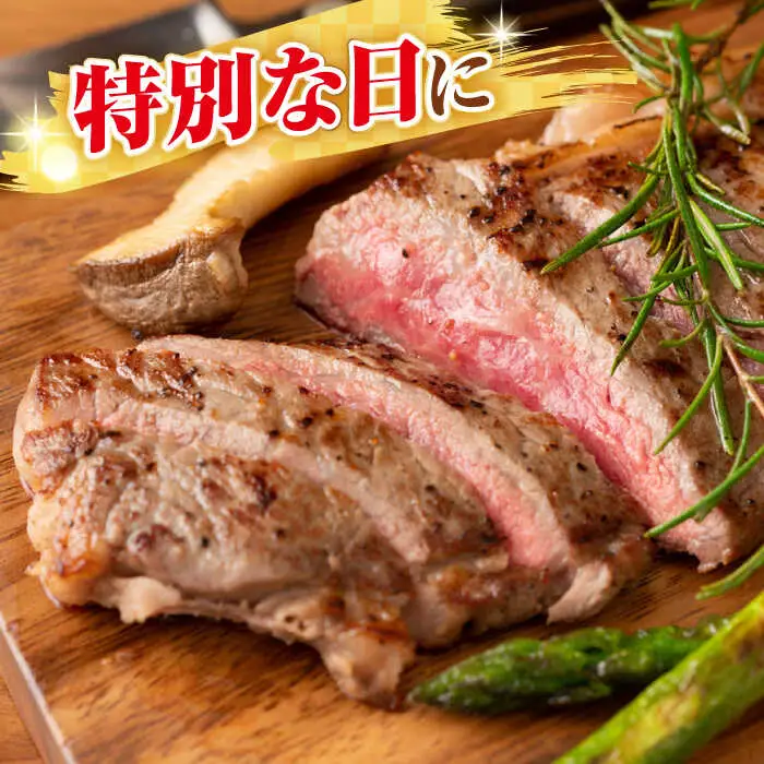 【全6回定期便】【A4～A5ランク】長崎和牛 サーロインステーキ 500g（250g×2枚）《壱岐市》【株式会社MEAT PLUS】 肉 牛肉 黒毛和牛 サーロイン ステーキ ご褒美 ギフト 贈答用 ご褒美 冷凍配送 A4 A5 [JGH129]