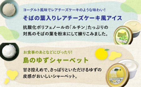 対馬 プレミアム アイス 6種セットアイスクリーム セット スイーツ  [WAM004]