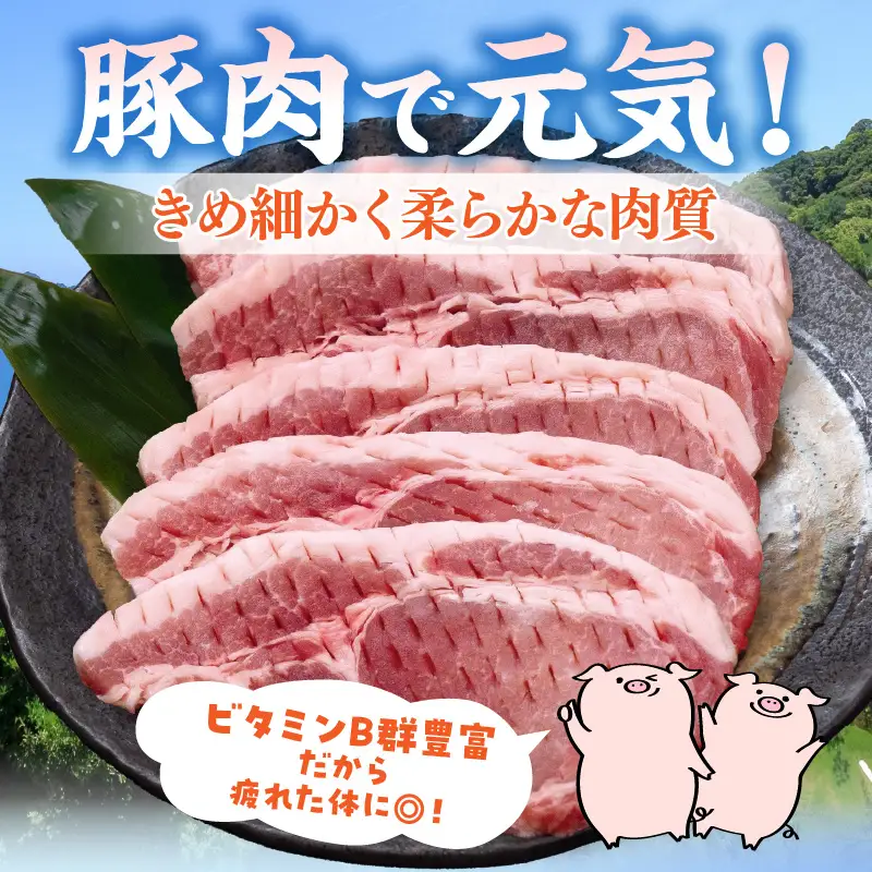 宮崎県産 豚ロース (トンテキ・とんかつ用) 計1kg 肉 豚肉 ポーク 国産 食品 万能食材 真空パック 簡単調理 おかず お弁当 おつまみ 豚丼 焼肉 炒め物 カレー ステーキ おすすめ ご褒美 お祝い 記念日 日南市 送料無料_BC97-24