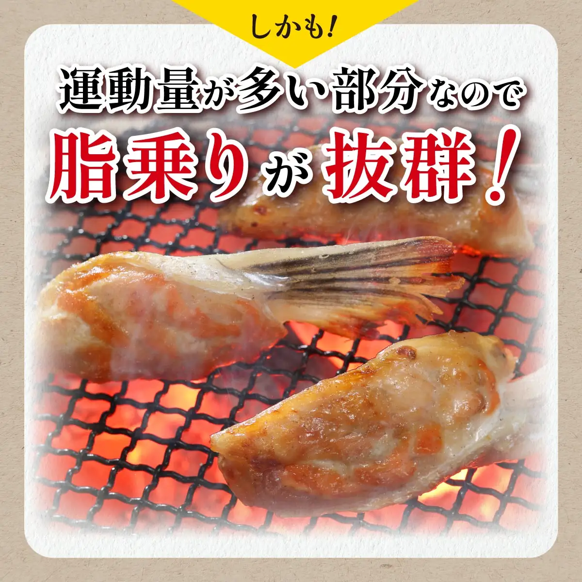 エンペラーサーモンの希少部位！ 1kg（約15枚入） 腹ビレ肉 通称「グリ」_T005-1182