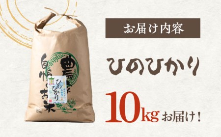 【R7年産】対馬産 ひのひかり 10kg「ほたる舞う三根川の米」 米 お米 ご飯 ごはん 白米 10kg 10キロ 産地直送 贈答用 [WAJ003]