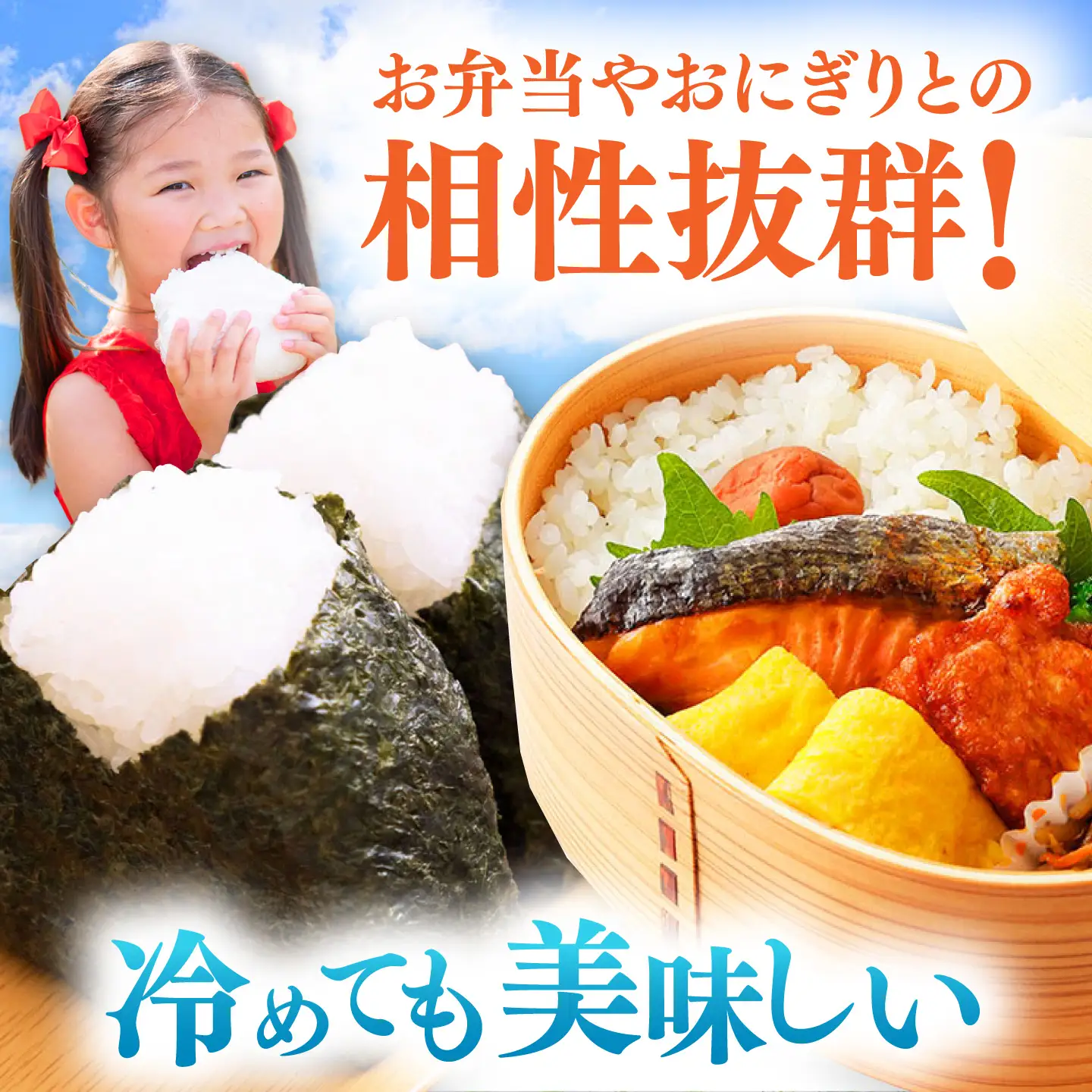 【R8年産】【2026年10月中旬頃より順次発送】特A 対馬産 にこまる 5kg×2「ほたる舞う三根川の米」 新米 米 お米 ご飯 ごはん 白米 10kg 10キロ 贈答用 特A [WAJ001]