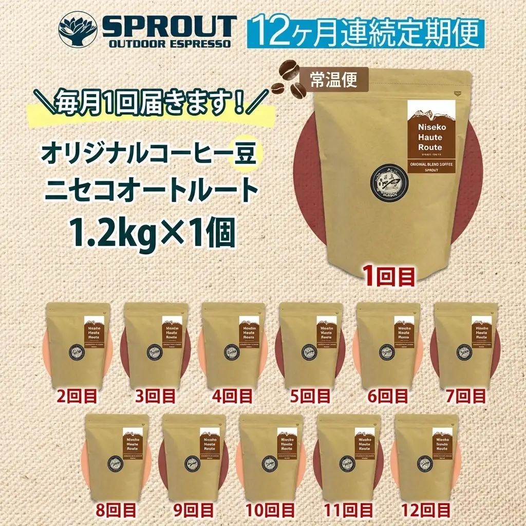 コーヒー豆 自家焙煎 オリジナルブレンド SPROUT コーヒー豆【1.2kg 全12回】【定期便】