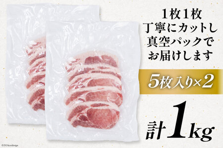 豚肉 小分け 宮崎ブランドポーク ロース トンテキ とんかつ カット 1kg