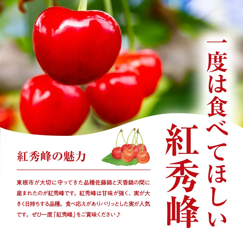 2027年産 GI 東根 さくらんぼ 紅秀峰 800g JA さくらんぼ