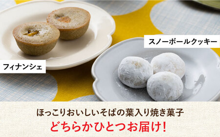 【島のめぐみ 対州そば】 青汁 30日分 / コーヒー / 焼き菓子 セット そば 美容 健康  [WAM009]