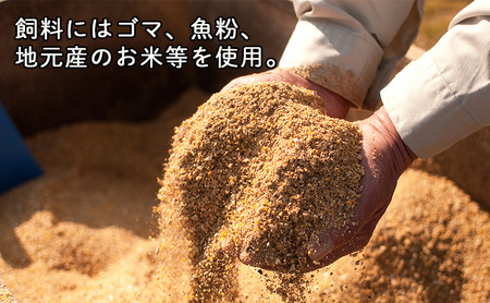 たまご パイエッグ赤卵 鶏卵 鳥鹿養鶏園 たまご【60個入り】
