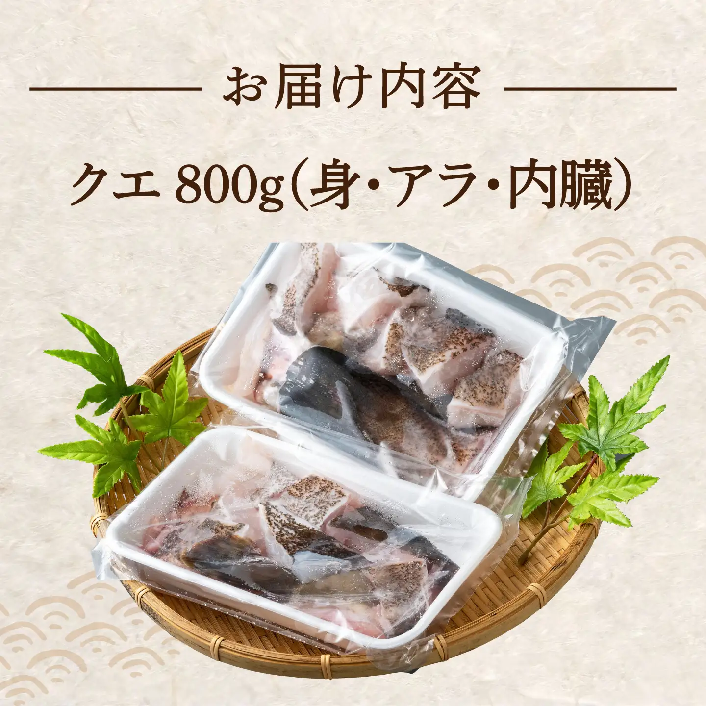 幻の魚 クエ 鍋 セット 800g [WAD013] 海鮮 魚介 鍋 高級 くえ クエ鍋 クエ