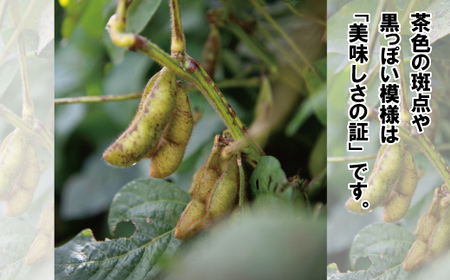 新丹波黒 枝豆 千年枝豆 2kg さや 京都 丹波  京丹波町産 期間限定 生産者限定 国産 こだわり 厳選 黒豆 枝豆 おつまみ きな粉 黒豆きな粉付き [015HY001L]