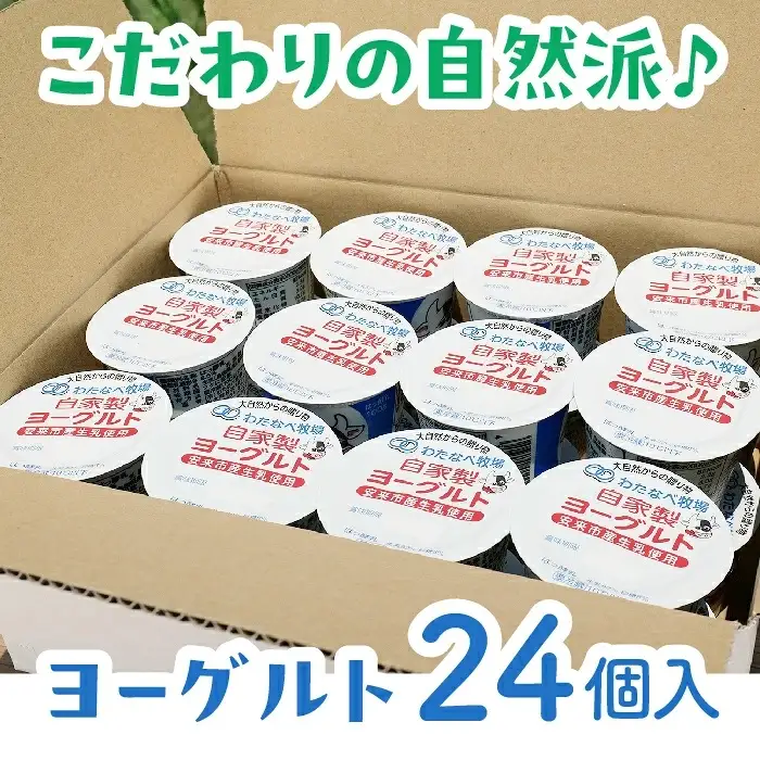 【定期便6回】わたなべ牧場のヨーグルトセット ／ 24個 ×6ヵ月 ヨーグルト 加糖 牧場 生乳 こだわり 甘み 搾りたて 安心 自然派 化学合成物質不使用 定期便 島根県 安来市
