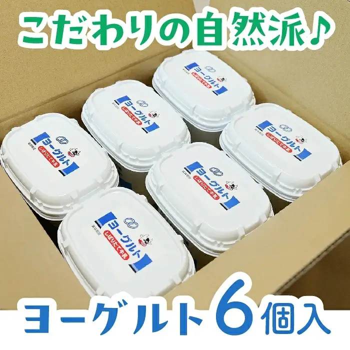 【定期便3回】ヨーグルト500ｇ（プレーン）6個セット／ 無糖 ネッカ牛乳 ノンホモ製法 セット 搾りたて 栄養 こだわり おやつ デザート 朝食 スイーツ 自然派 化学合成物質不使用 安心 乳製品 乳酸菌 腸活 健康 定期便 島根県 安来市