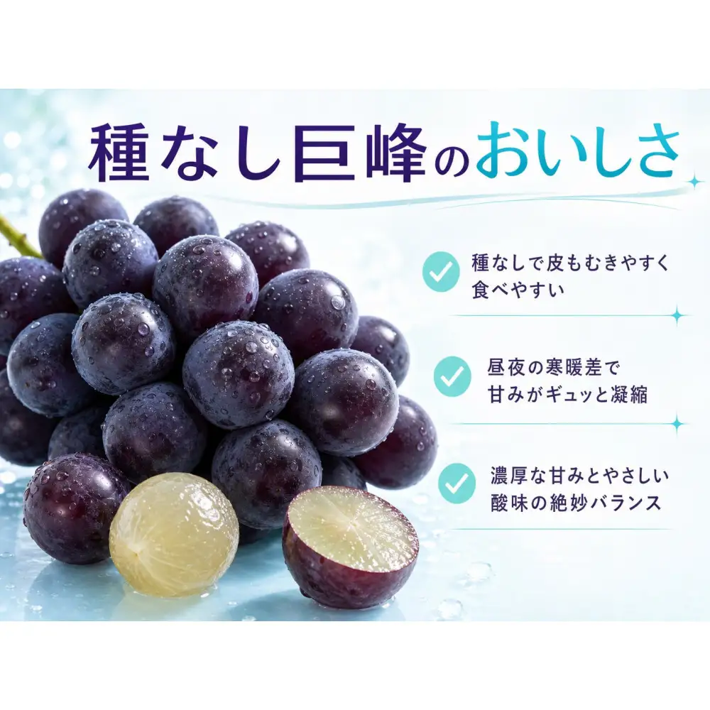 紀州有田産の種なし巨峰ぶどう２房（約800g〜1kg）【2026年発送 先行予約】 巨峰