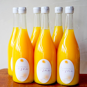 【2027年3月中旬頃から順次発送】いよかんストレート果汁100％ジュース 720ml×12本 | 数量選択可 果汁100% 無添加 伊予柑 ストレートジュース 数量選択可 | みかんジュース 果汁100% みかんジュース いよかん ストレート 100% ジュース 柑橘 果汁飲料 みかんジュース NPO法人農音 愛媛県 松山市 中島【NO106】