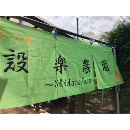 新高梨 5kg(5～9個入り)個数おまかせ_果物・フルーツ 和梨 梨 わなし ワナシ_【1342789】