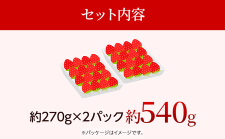 【先行受付】農家直送 朝採り新鮮いちご【博多あまおう】＜1月下旬より順次発送＞ 約270g×2パック 福岡県産 苺 イチゴ 朝採れ 冷蔵 スイーツ ジュース ギフト プレゼント お土産 九州 福岡土産 ※北海道・沖縄・離島は配送不可
