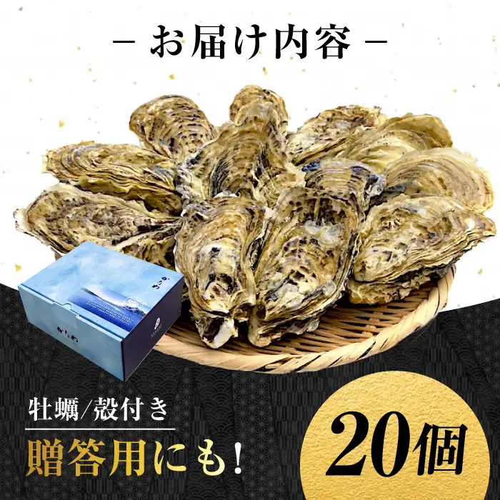 生牡蠣殻付き20個 牡蠣[XBP008]