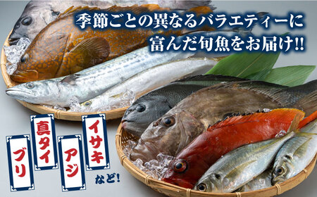 対馬 活〆 島魚セット 3.5ー4kg [WAC007] 冷蔵 鮮魚 魚 ぶり まぐろ 鮪 マグロ