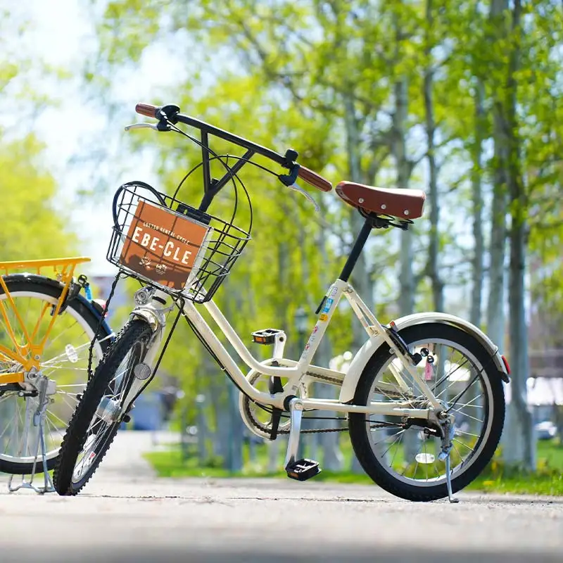 江別市レンタルサイクル事業「EBE-CLE(えべくる)」乗車体験チケット(4時間分) ＜普通自転車＞ EB8-0341