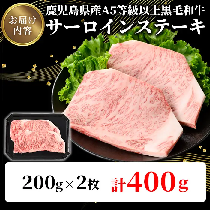 鹿児島県産 A5等級以上 黒毛和牛 霜降り 特上 サーロイン ステーキ 計400g(200g×2枚) 牛【ビーフ倉薗】B172