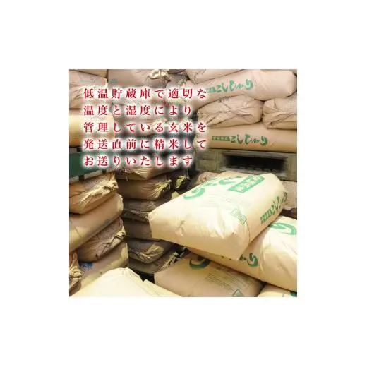 愛媛県産コシヒカリ5kg