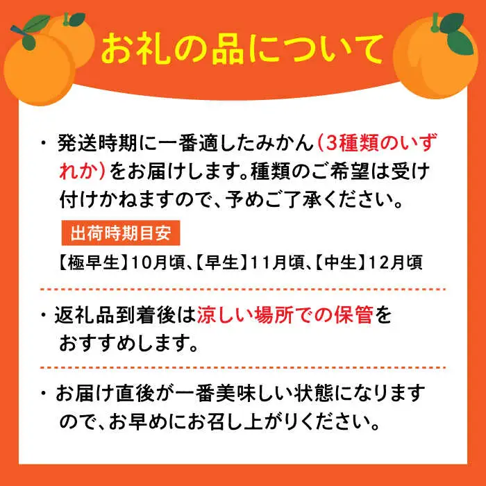 【2026年10月中旬以降発送】五代目みかん約4.5kg（40-50個） / 佐賀県 / 石橋果樹園 [41AAAJ003]