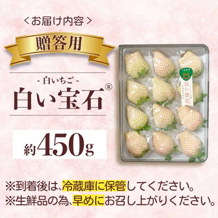 【2027年1月以降順次発送】白い宝石（贈答用）約450g / いちご / 佐賀県 / 手島農園 [41ABAB005]