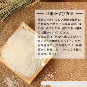 お米 【3ヶ月お米が届く】厳選極上米ミルキークイーン 5kg 3回 定期便 白米 ごはん