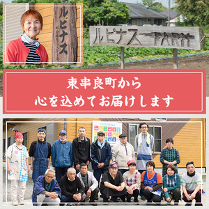 《思いやり型返礼品》発芽玄米のお餅  あくまき 甘酒 計3種 セット ルピナス会 0111505a